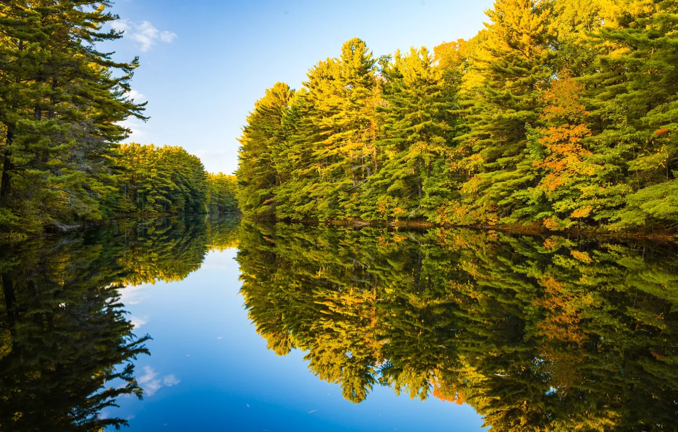 Photo wallpaper autumn, forest, nature, lake
