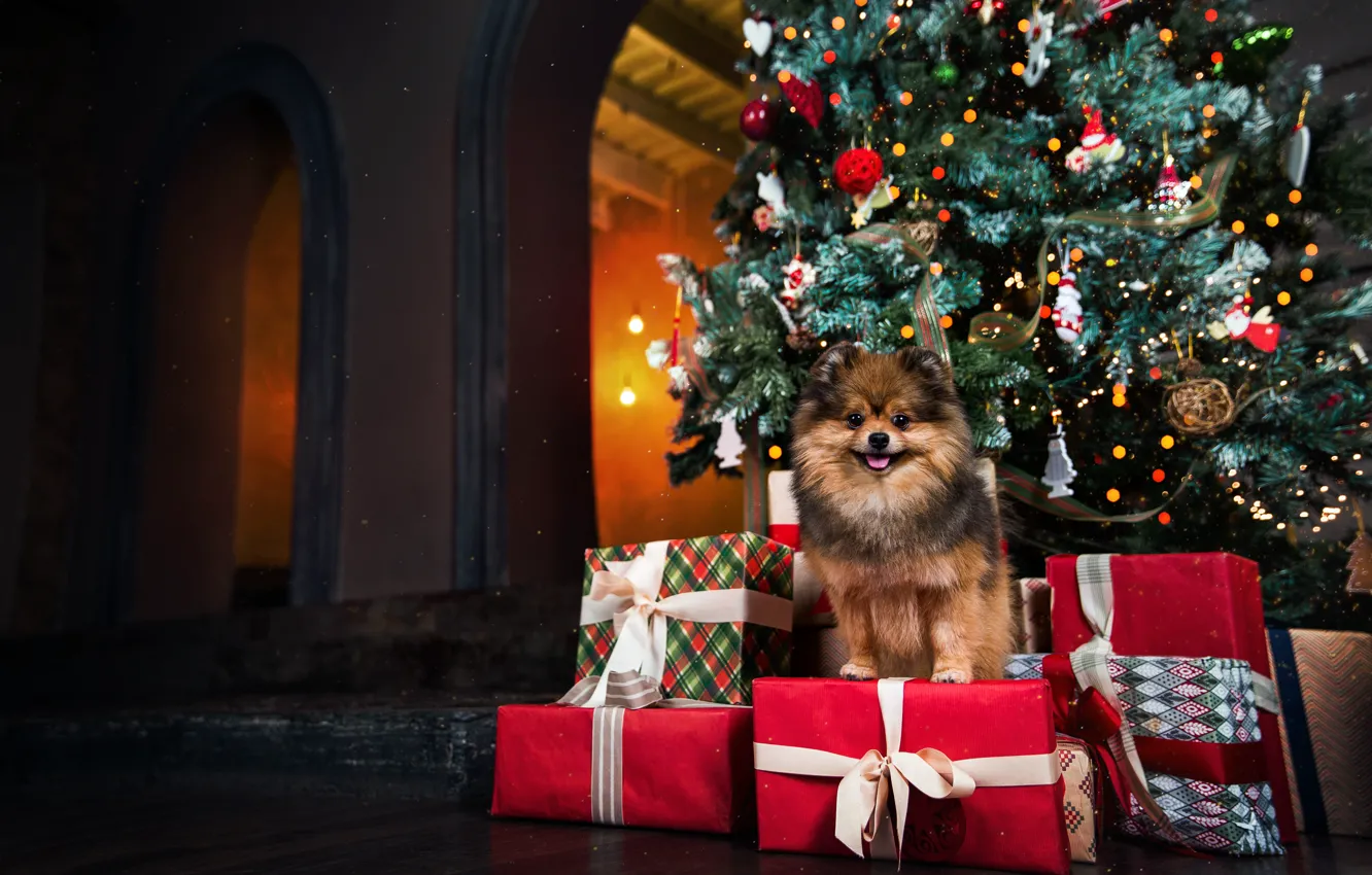 Photo wallpaper tree, dog, Christmas, gifts, New year
