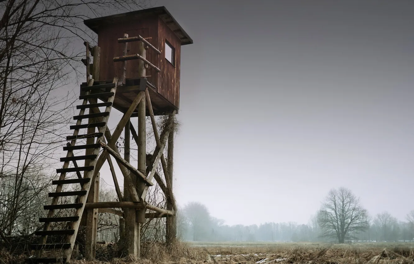 Photo wallpaper field, landscape, tower