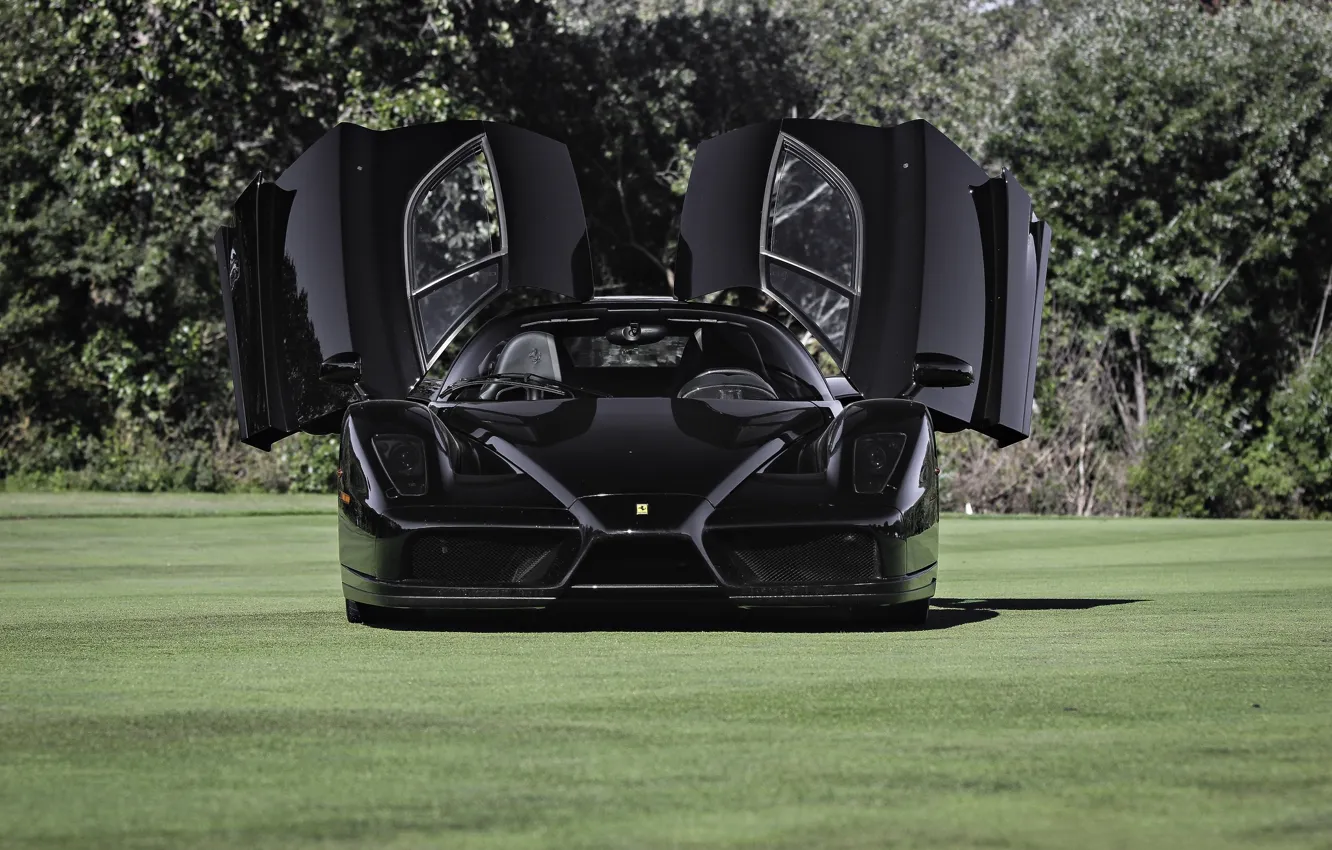 Photo wallpaper black, shadow, ferrari, Ferrari, black, enzo, the front, doors