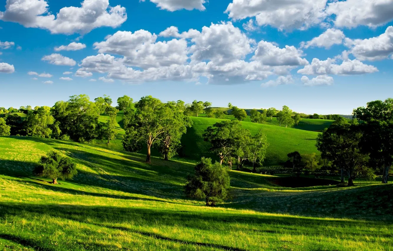 Photo wallpaper the sky, clouds, trees, nature, green, blue, valley, horizon