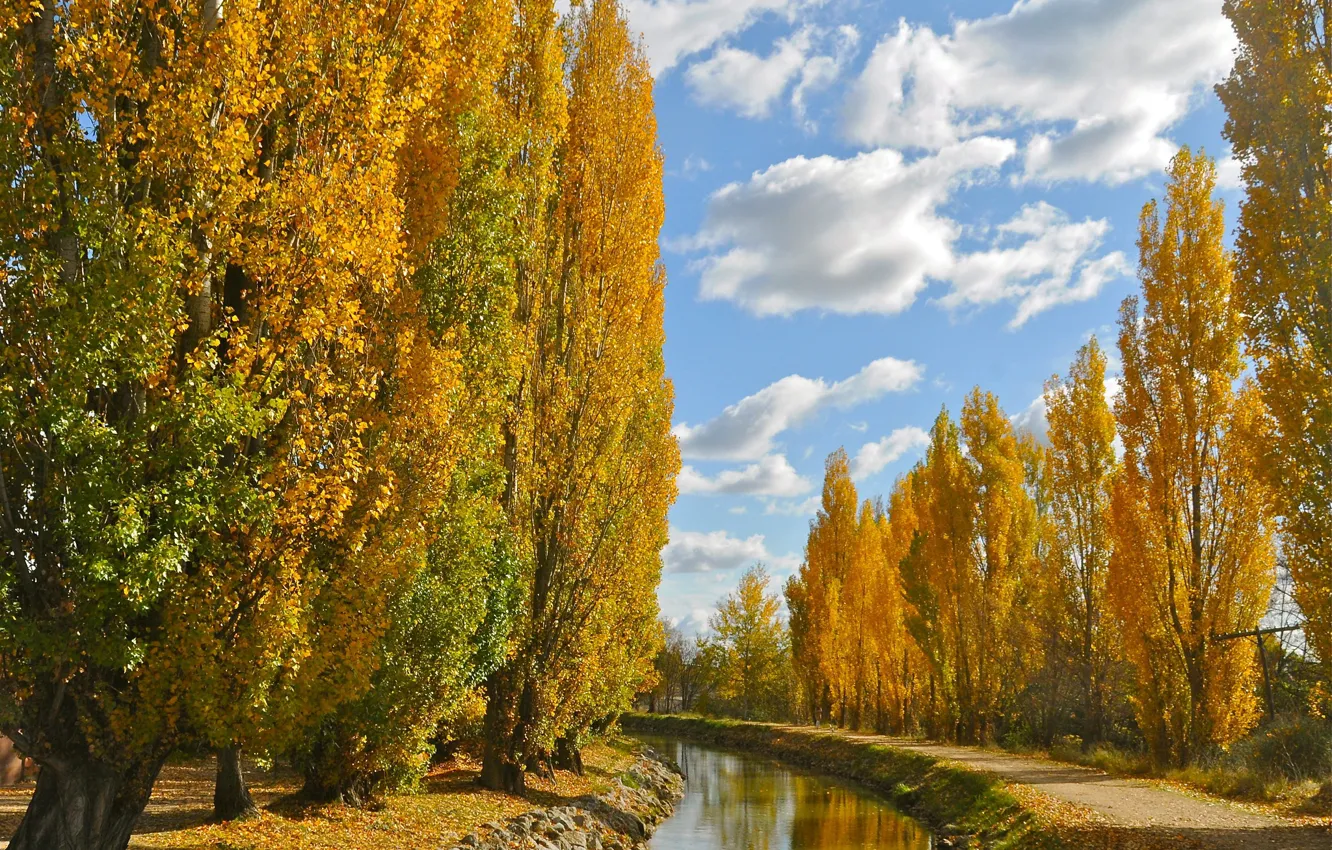 Photo wallpaper autumn, the sky, trees, channel