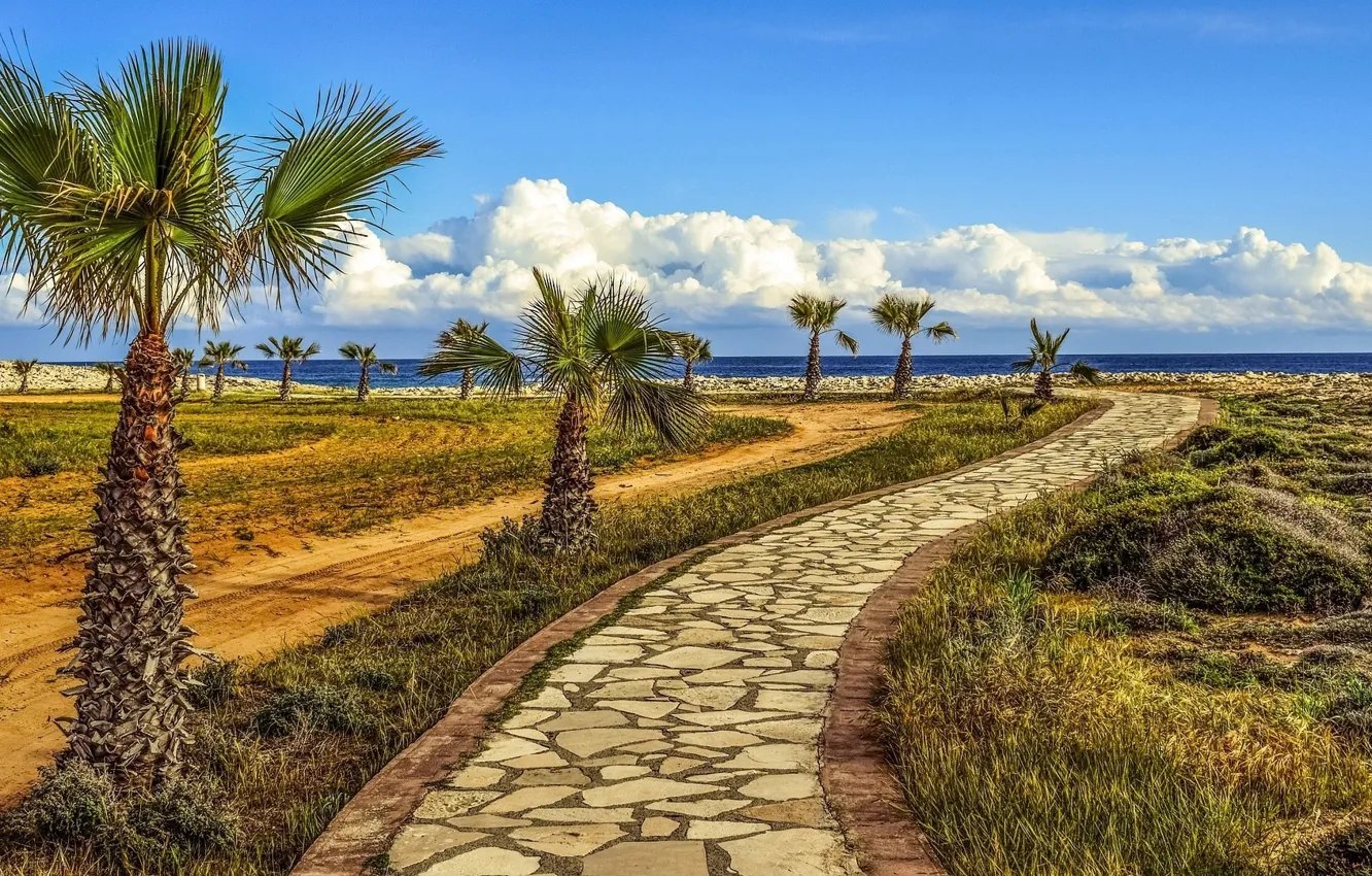 Photo wallpaper sea, the sky, landscape, nature, Palma, path