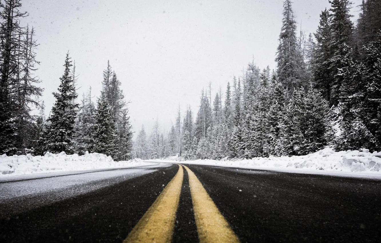 Photo wallpaper winter, road, forest, the sky, asphalt, clouds, snow, trees