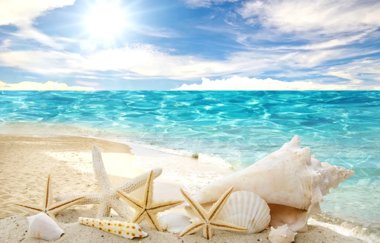 Photo wallpaper sand, sea, beach, the sun, stars, shell, summer, sunshine
