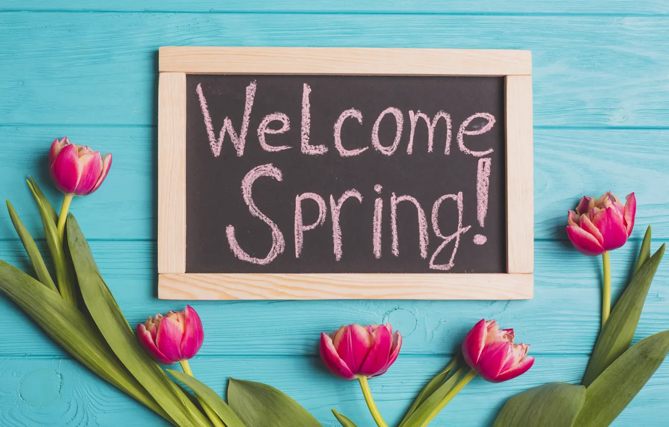 Photo wallpaper flowers, background, Board, spring, tulips