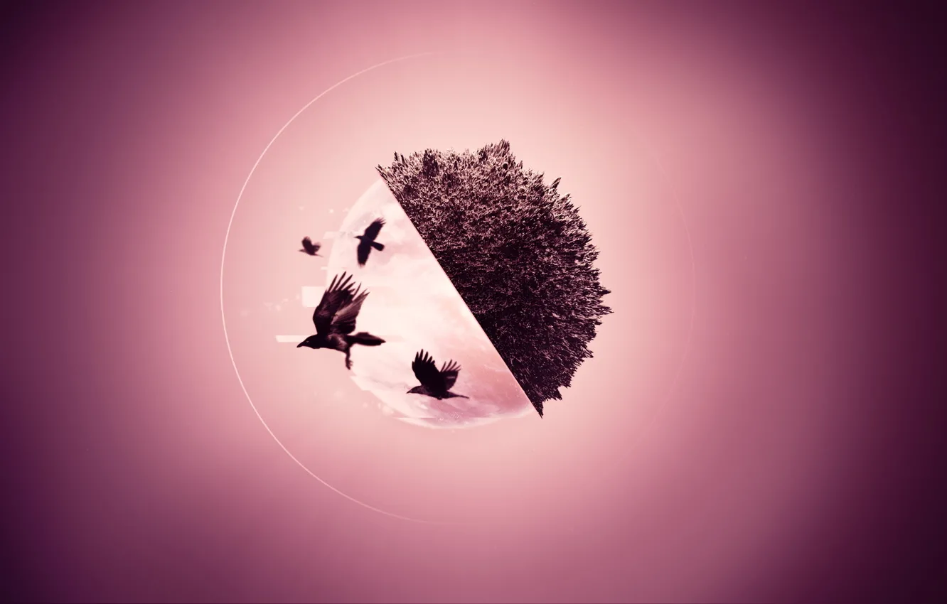 Photo wallpaper birds, abstraction, graphics, round, crows