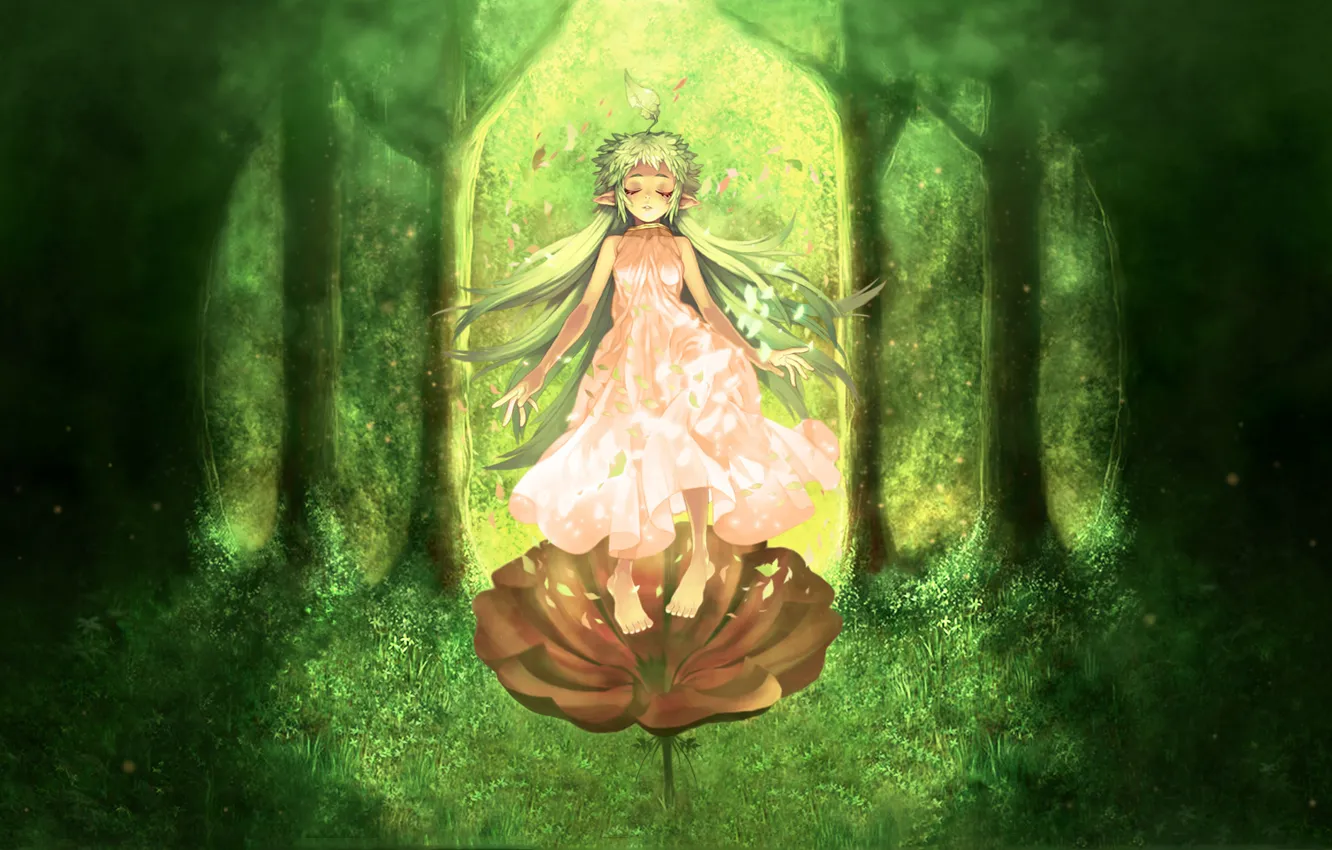 Photo wallpaper forest, flower, grass, elf, art, girl, Anime, Ragnarok Online