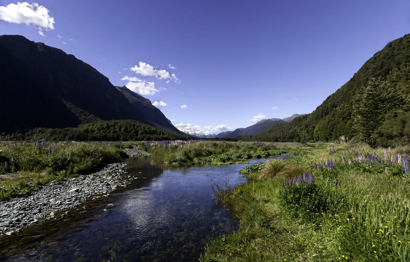Photo wallpaper landscape, mountains, nature, Park, stream, photo, New Zealand, Fiordland