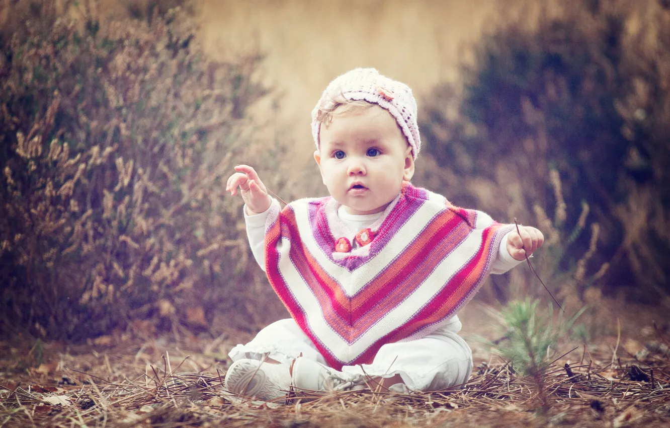 Photo wallpaper look, children, poncho, dry branches