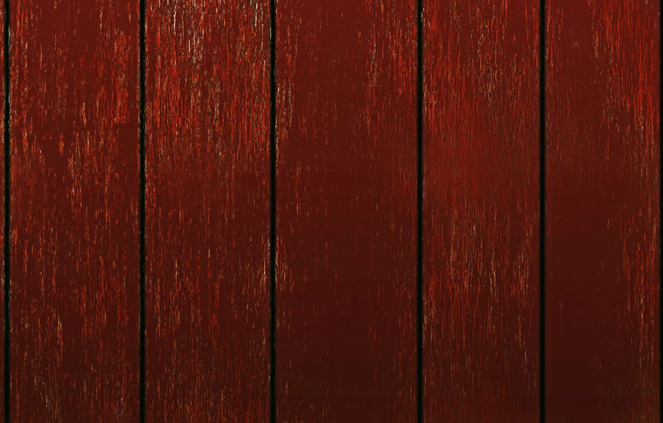 Photo wallpaper trees, Wallpaper, color, texture, floor