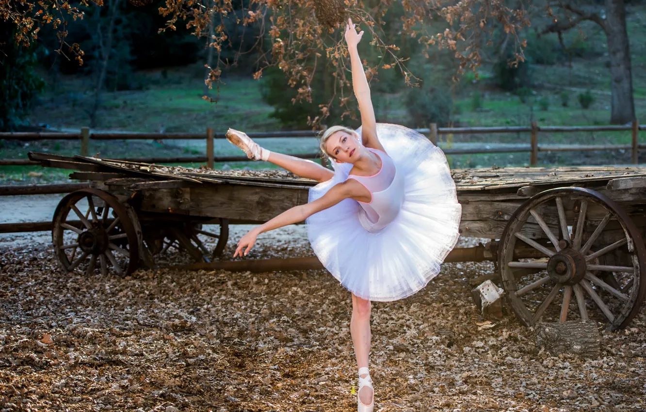 Photo wallpaper girl, pose, ballerina