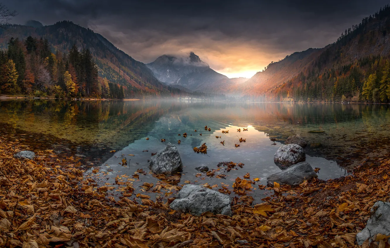 Photo wallpaper leaves, mountains, lake, Austria, canopy, Langbathsee