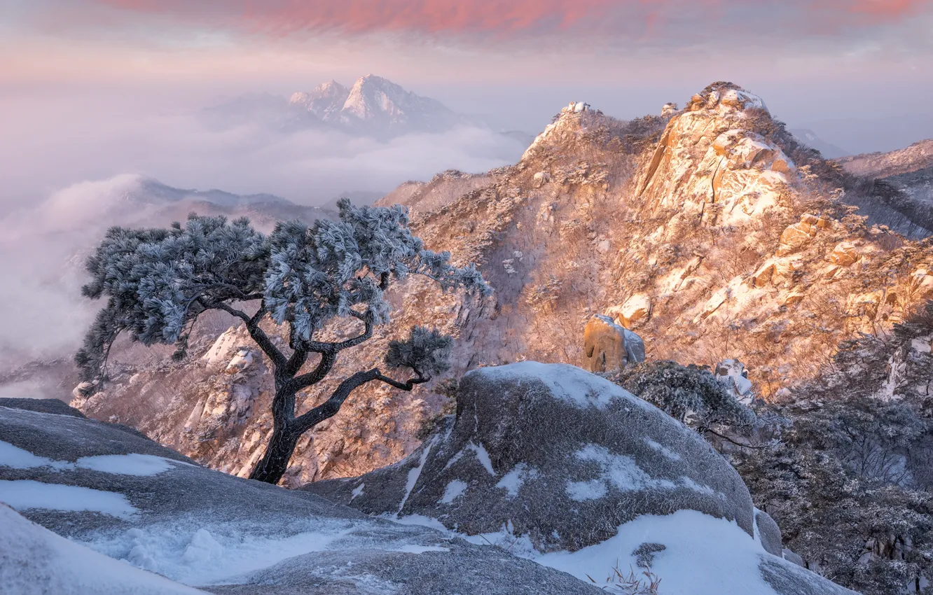 Photo wallpaper winter, clouds, snow, trees, landscape, mountains, nature, rocks