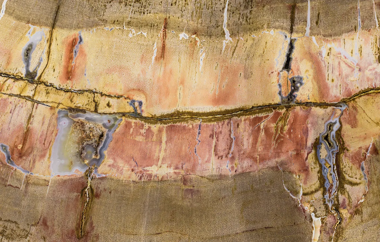 Photo wallpaper stone, color, texture