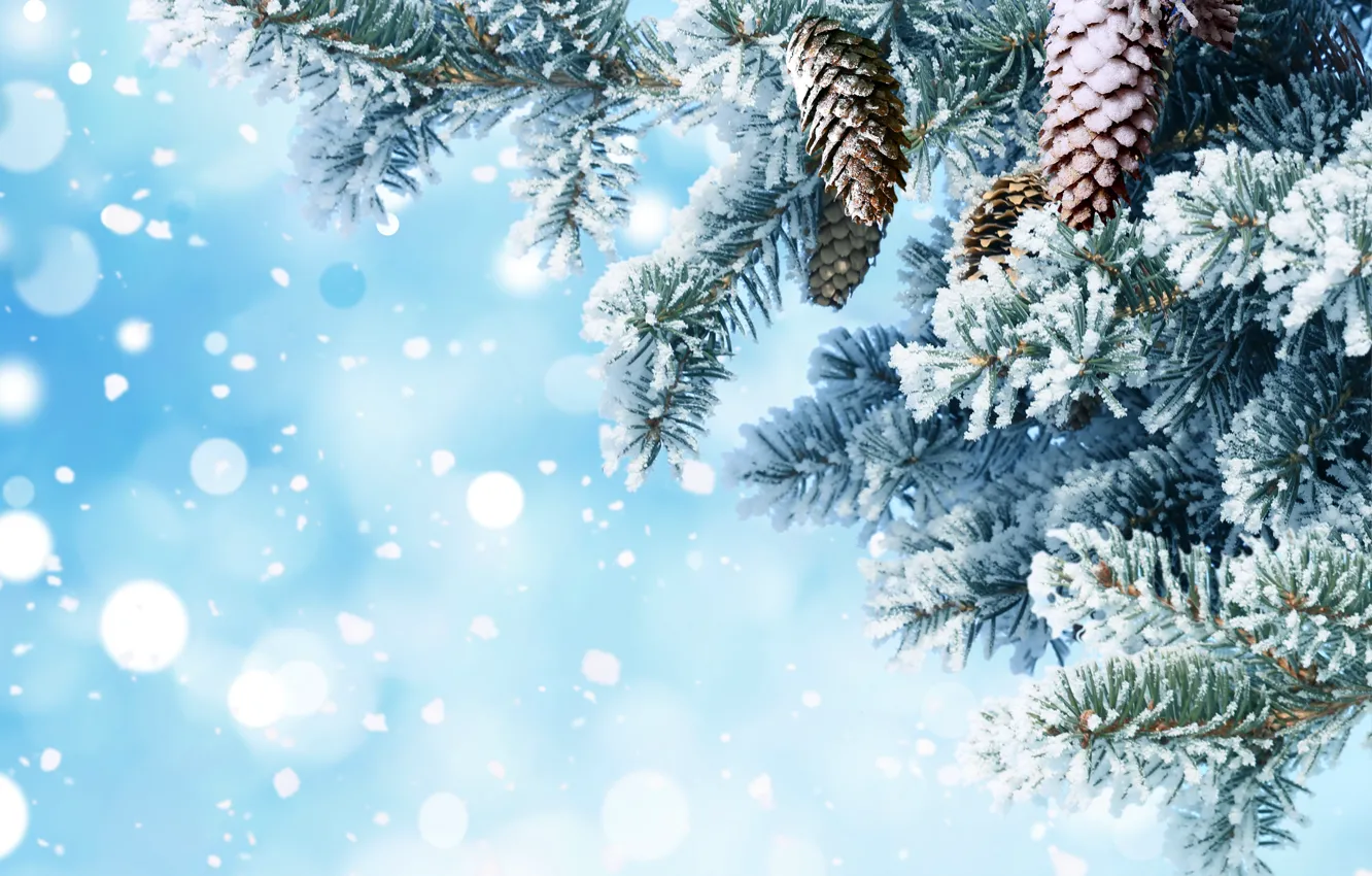 Photo wallpaper snow, needles, branches, background, tree, new year, bumps