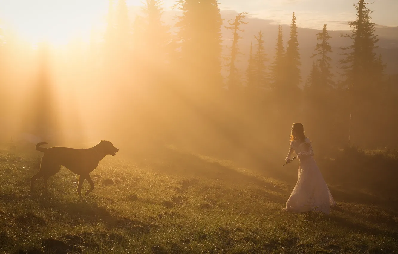 Photo wallpaper field, forest, girl, the sun, rays, joy, fog, mood