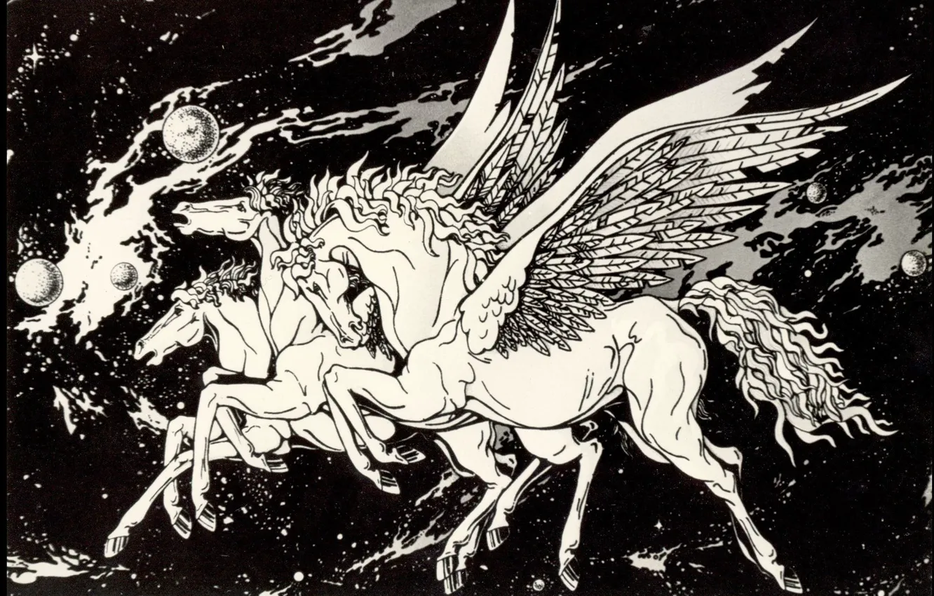 Photo wallpaper photos, black and white, Pegasus, Space Fantasy