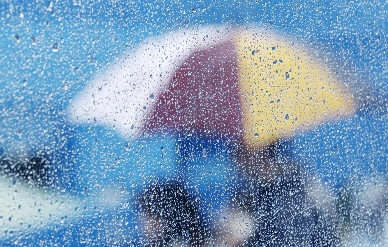 Photo wallpaper glass, drops, umbrella, background, Wallpaper, different, water. rain