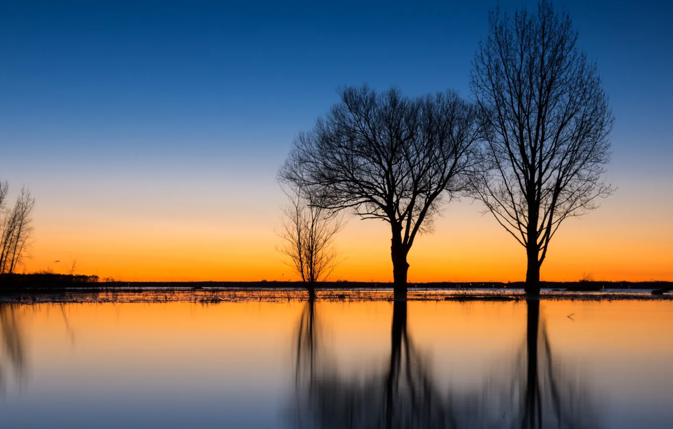 Wallpaper water, trees, reflection, silhouette, glow for mobile and ...