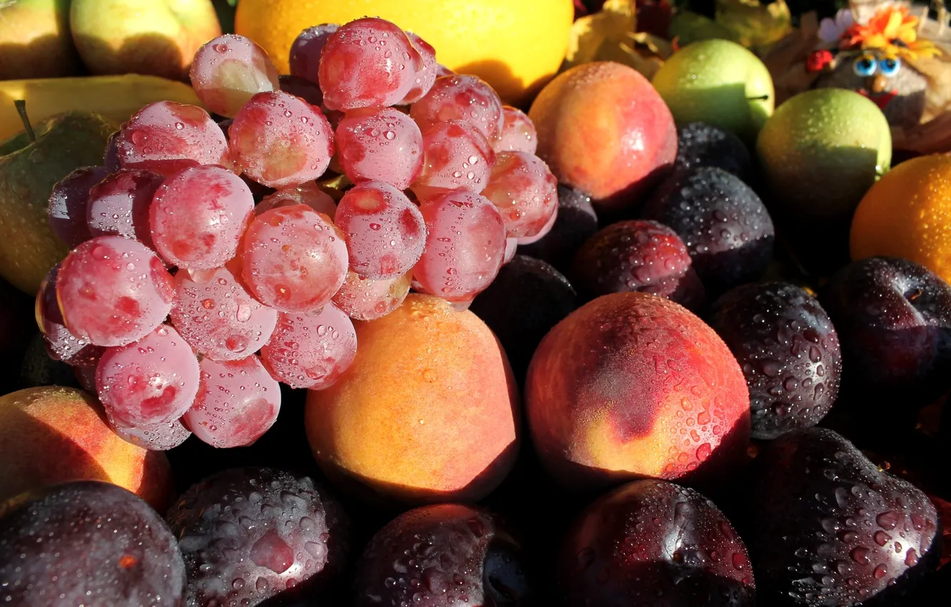 Photo wallpaper grapes, fruit, peaches, plum