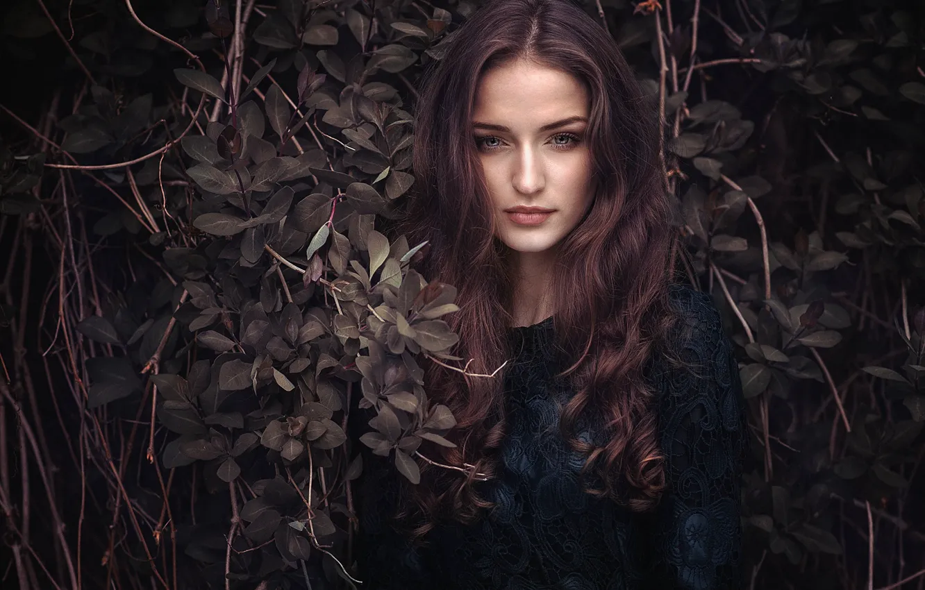 Photo wallpaper look, leaves, girl, branches, face, portrait, long hair, curls
