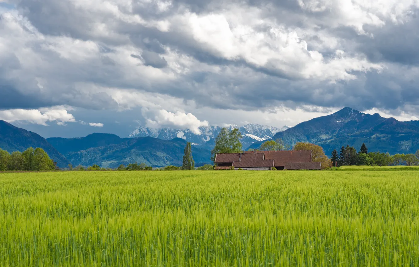 Photo wallpaper greens, field, summer, the sky, grass, clouds, mountains, house