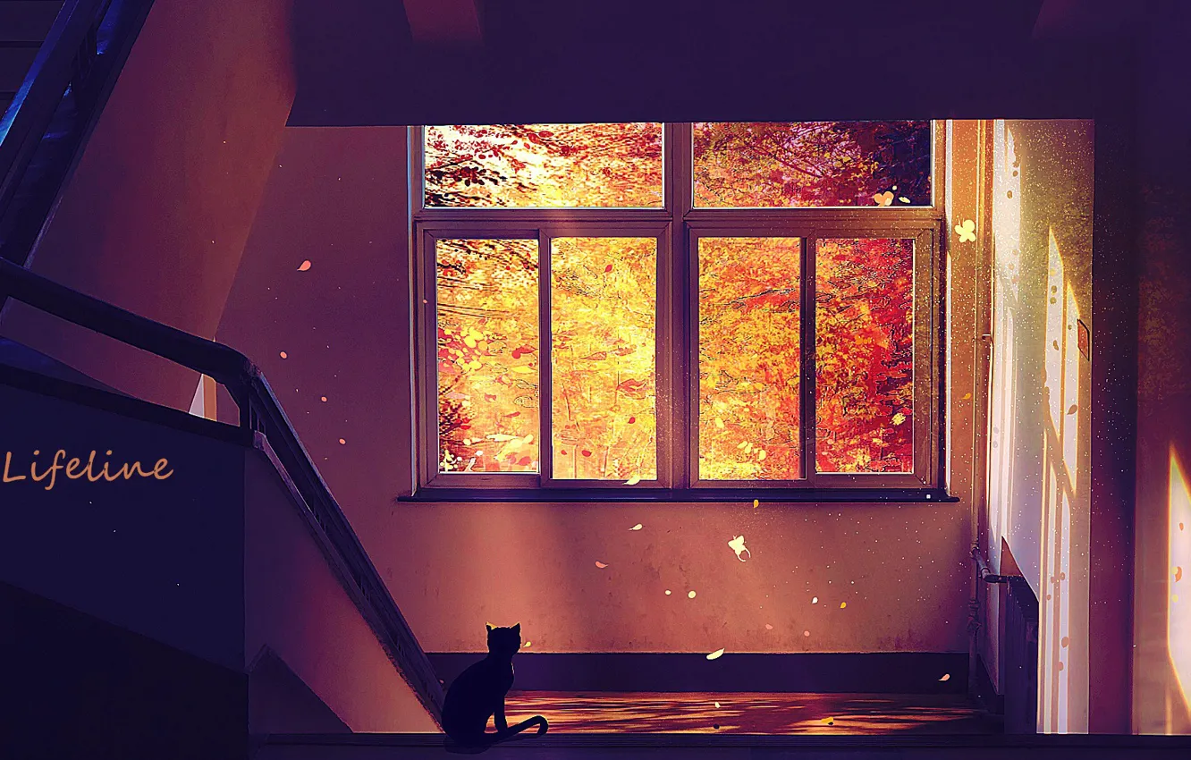Photo wallpaper cat, corridor, ladder, by Lifeline