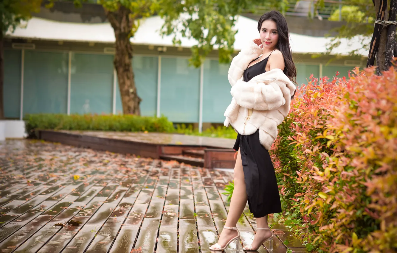 Photo wallpaper look, trees, pose, model, portrait, makeup, garden, figure