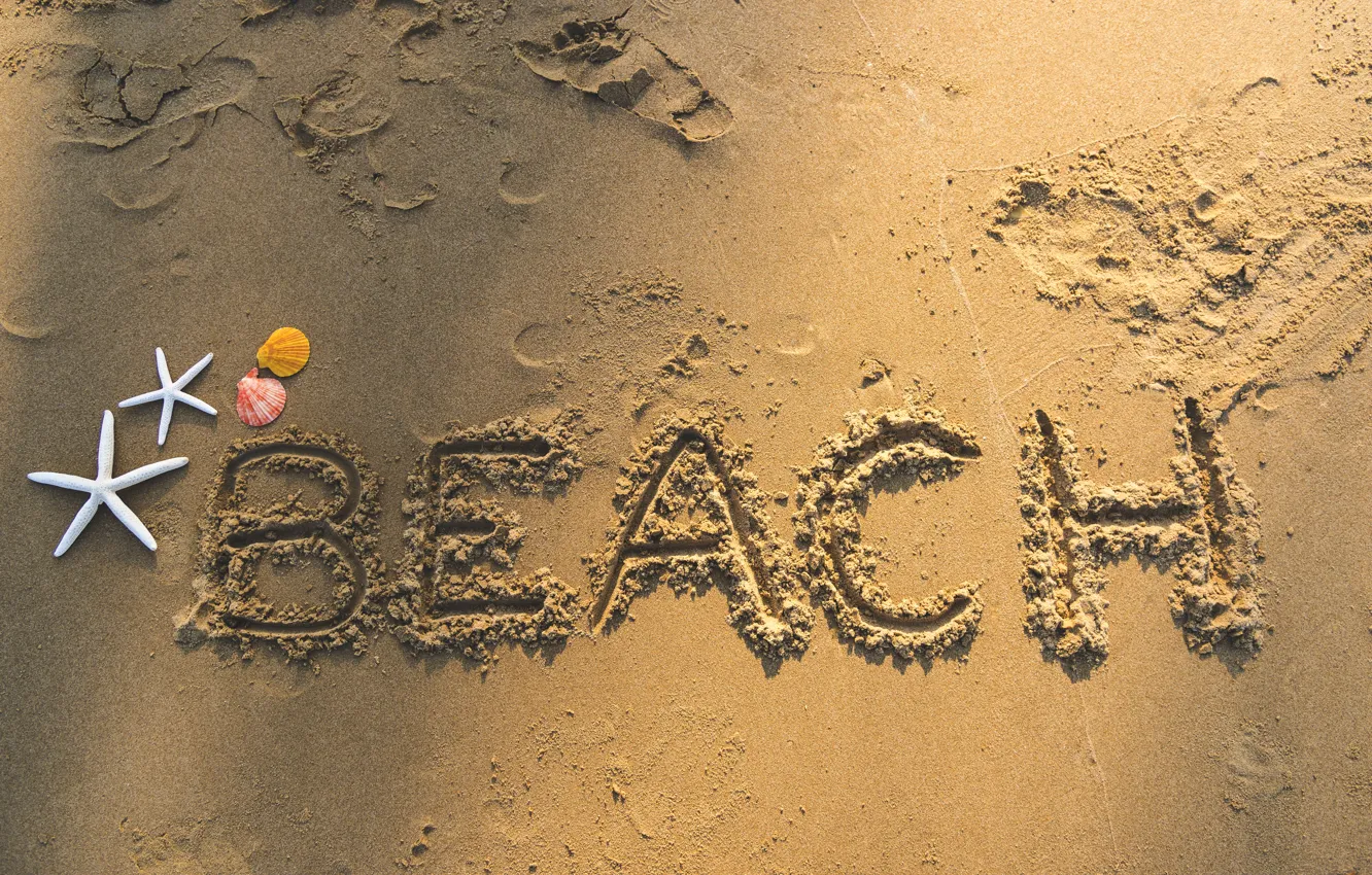 Photo wallpaper sand, beach, summer, shell, summer, beach, sea, sand