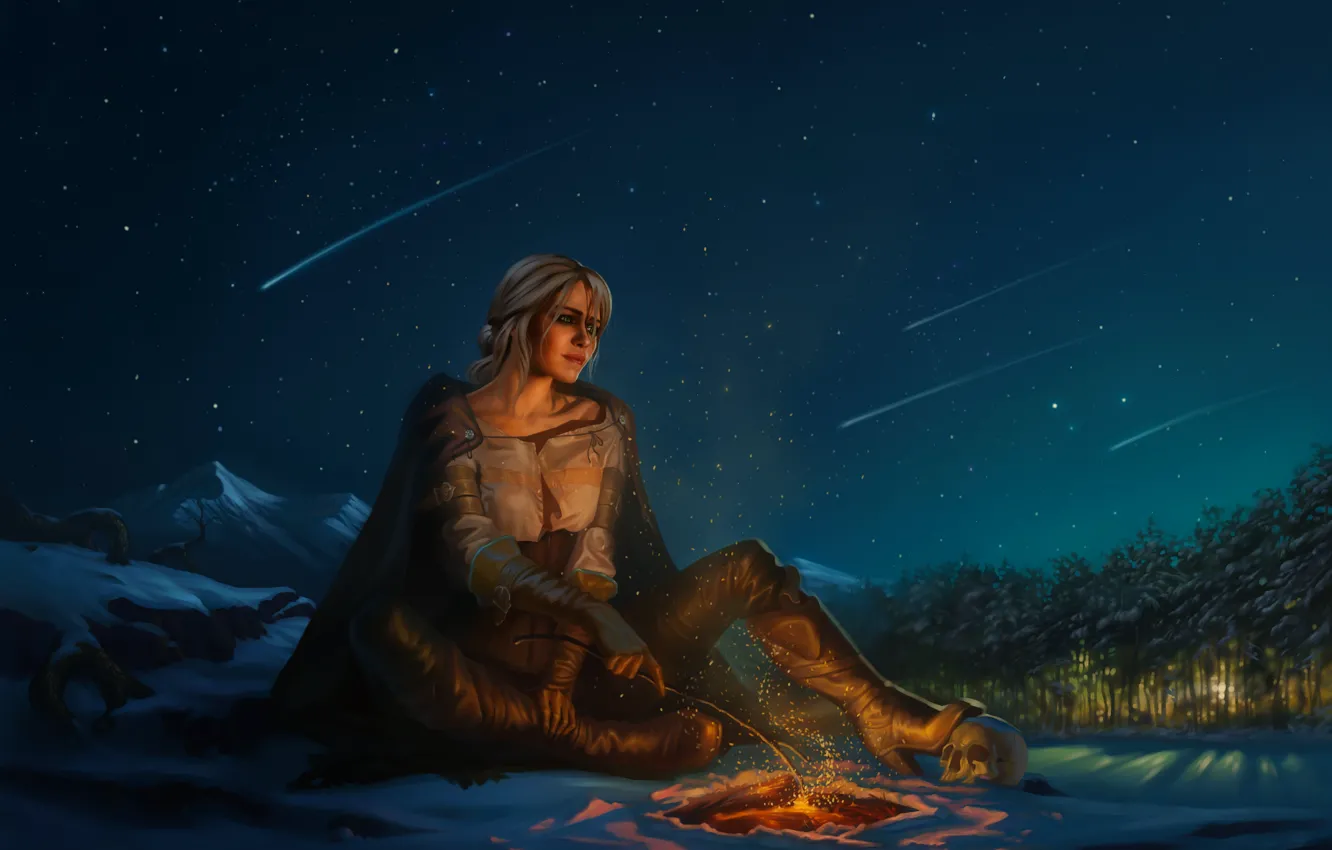 Photo wallpaper forest, the sky, girl, snow, trees, mountains, night, skull