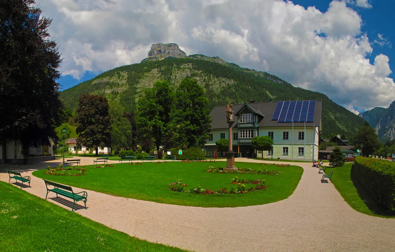 Photo wallpaper greens, forest, summer, grass, clouds, trees, flowers, mountains