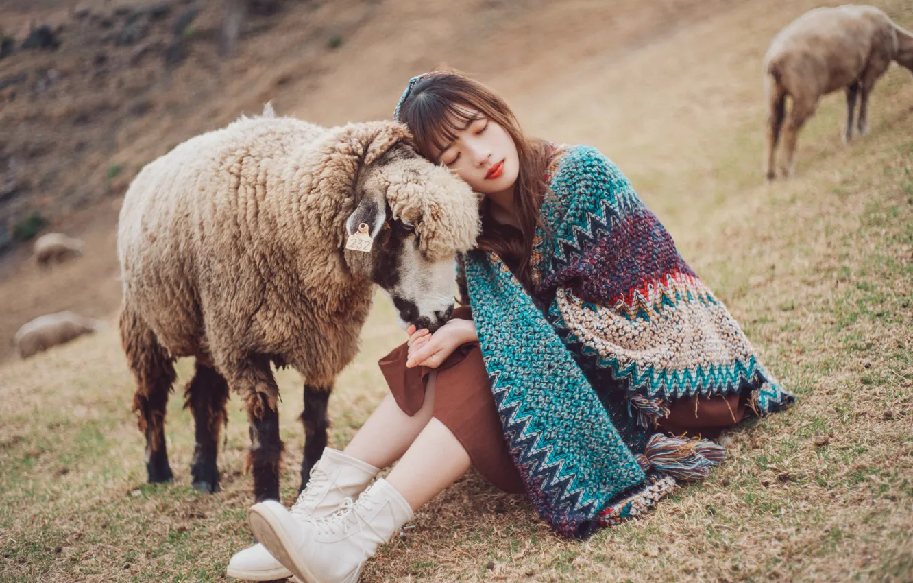 Photo wallpaper girl, sheep, Asian