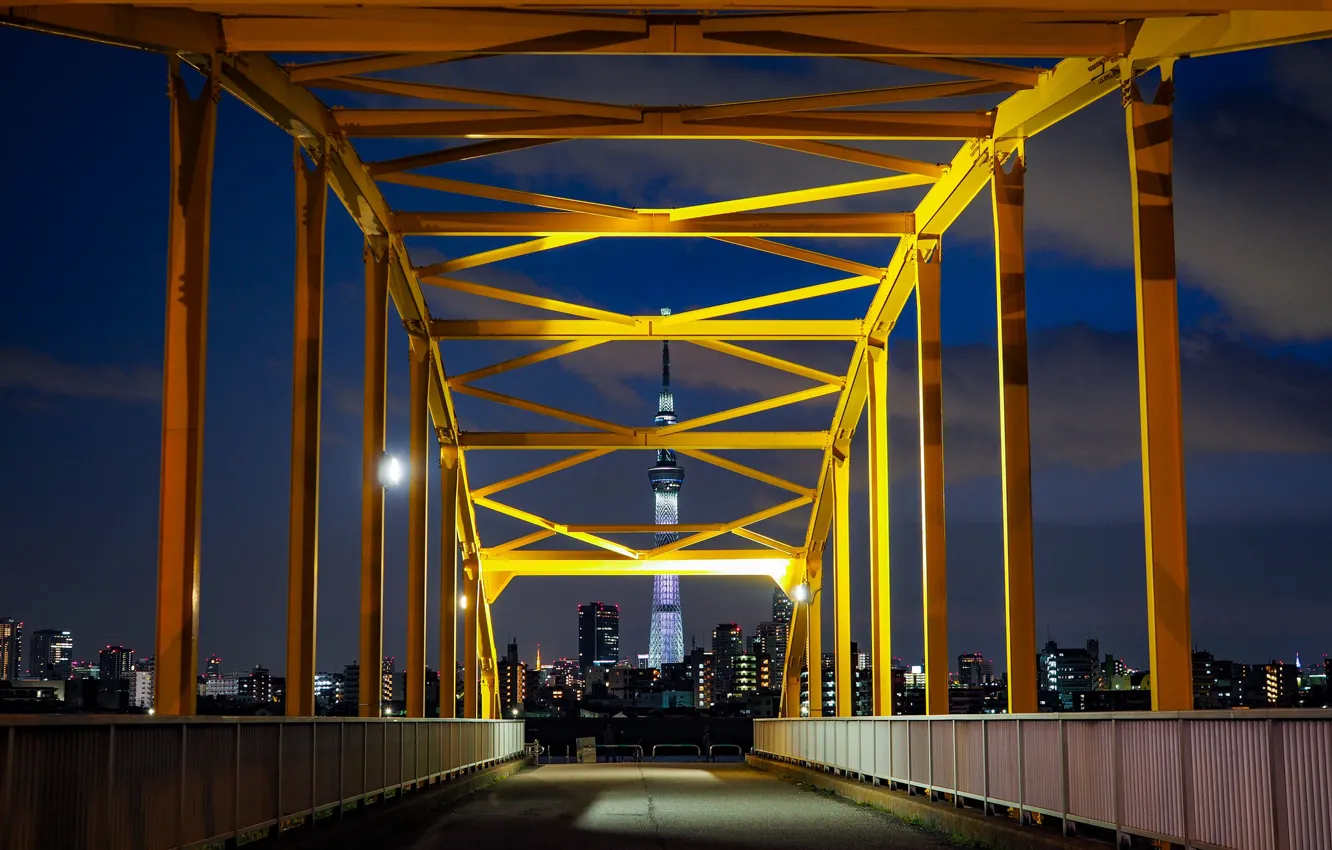 Photo wallpaper bridge, the city, tower