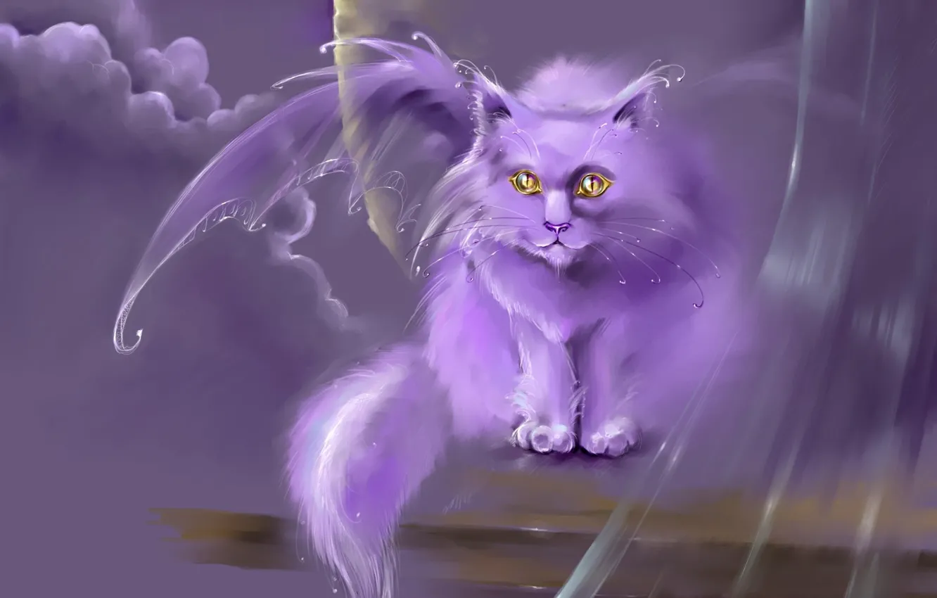 Photo wallpaper cat, fantasy, wings, art, pussy
