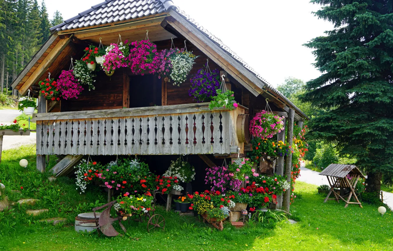 Photo wallpaper cottage, veranda, in bloom