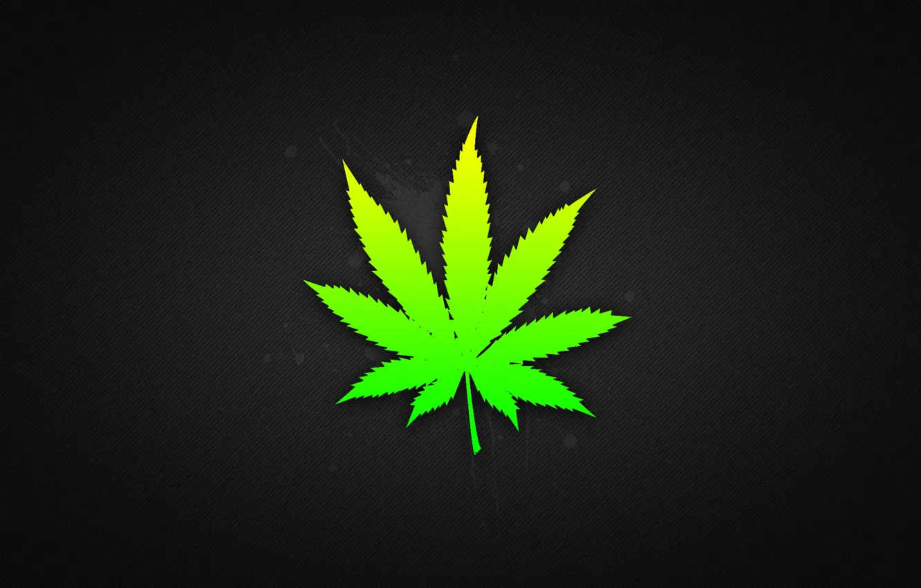 Photo wallpaper leaves, weed, marijuana