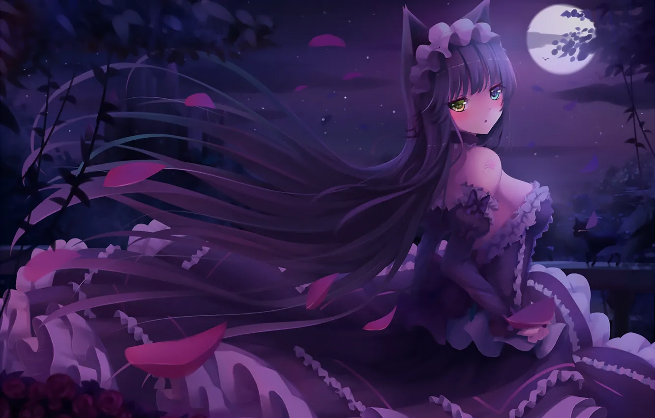 Photo wallpaper girl, night, the moon, anime