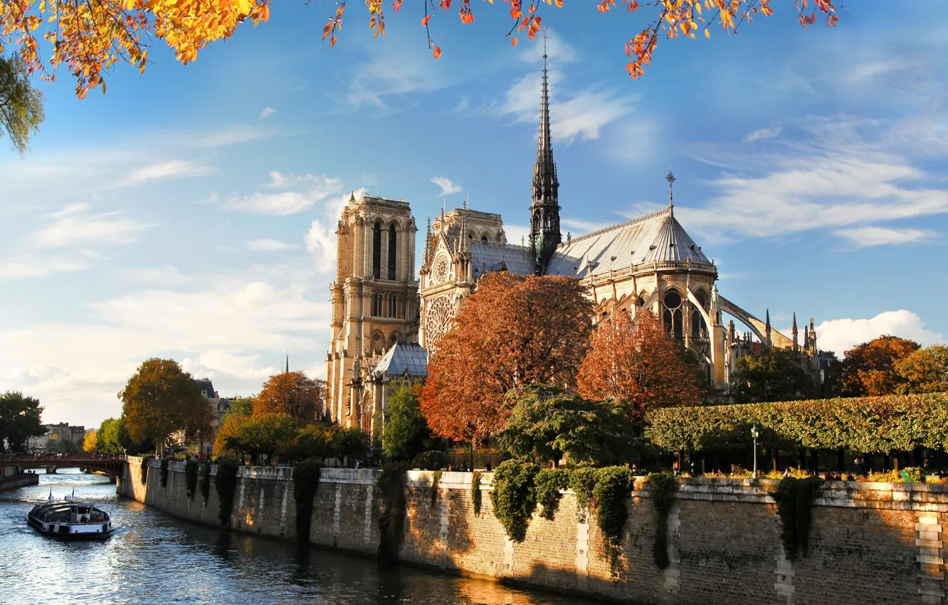 Photo wallpaper autumn, bridge, nature, the city, river, France, Paris, hay