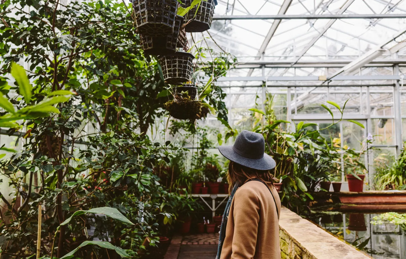 Photo wallpaper girl, plants, hat, greenhouse