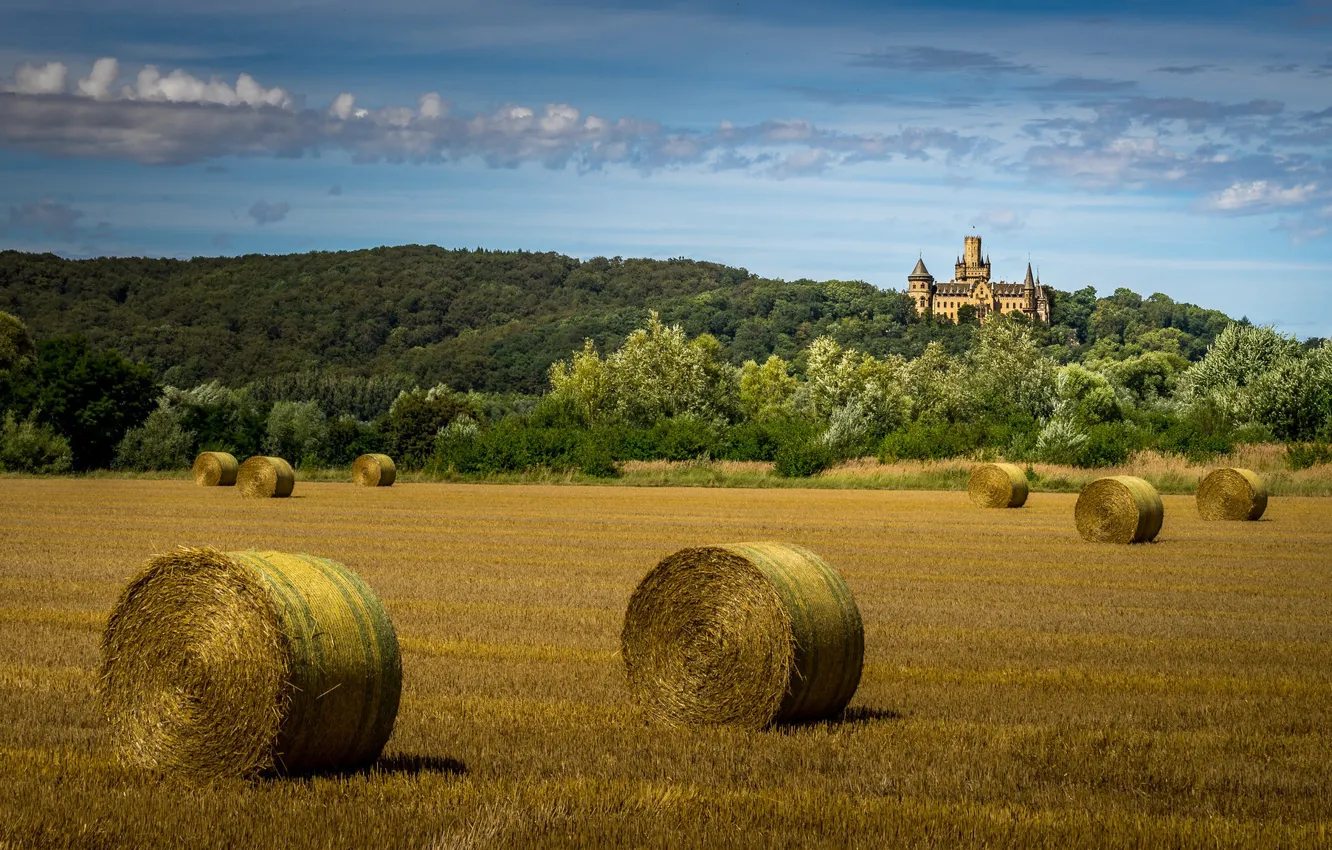 Photo wallpaper field, castle, hay