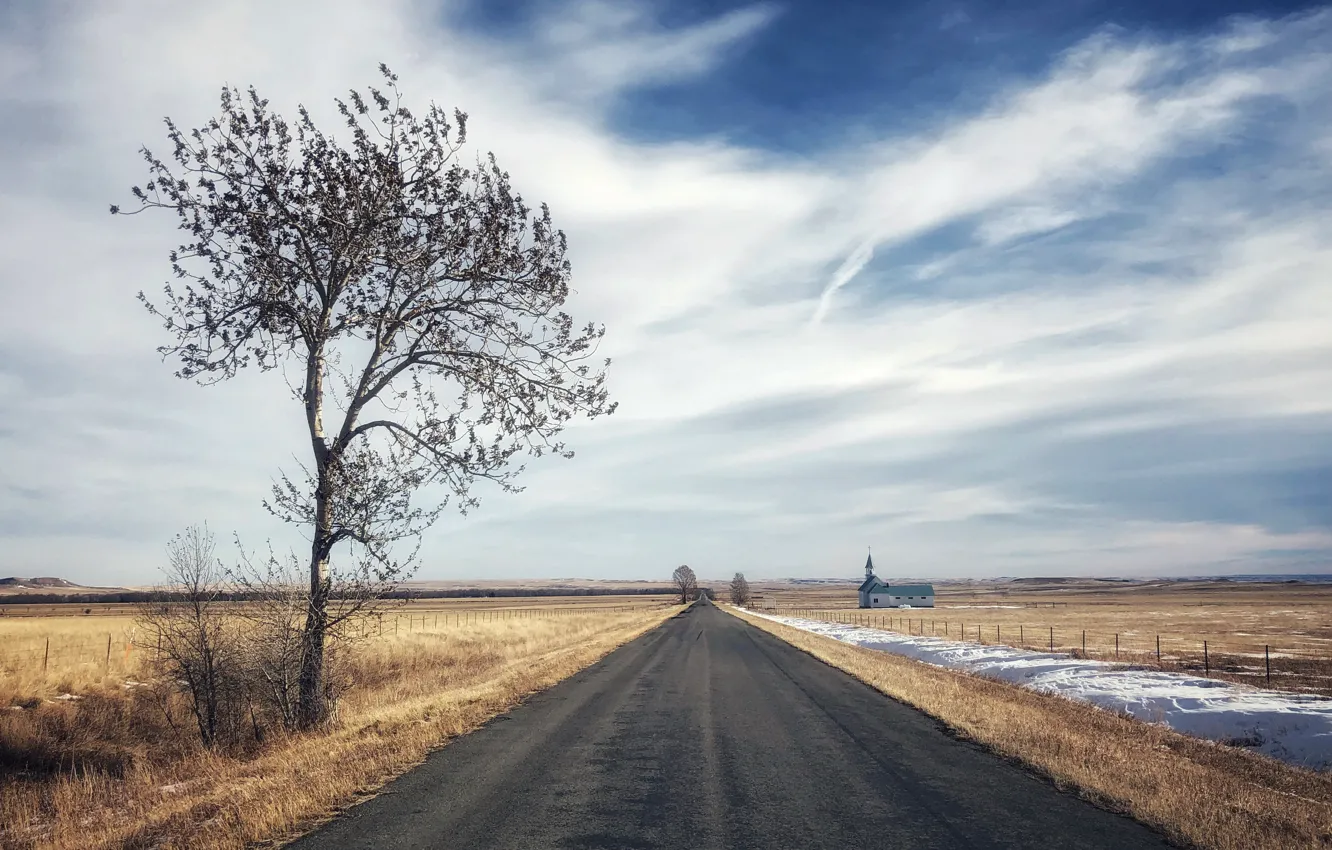 Photo wallpaper road, field, tree, Road to Redemption