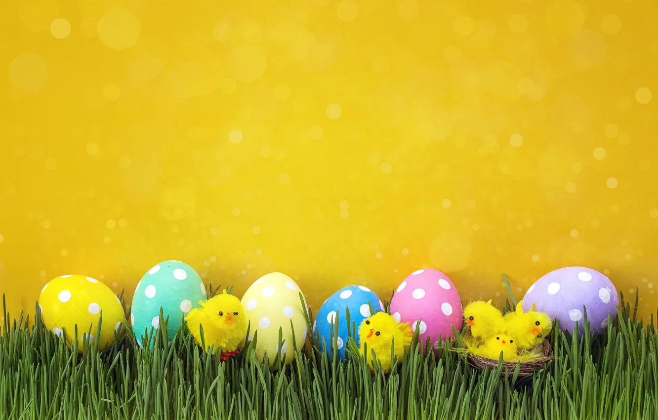 Photo wallpaper grass, chickens, spring, Easter, wood, spring, Easter, eggs