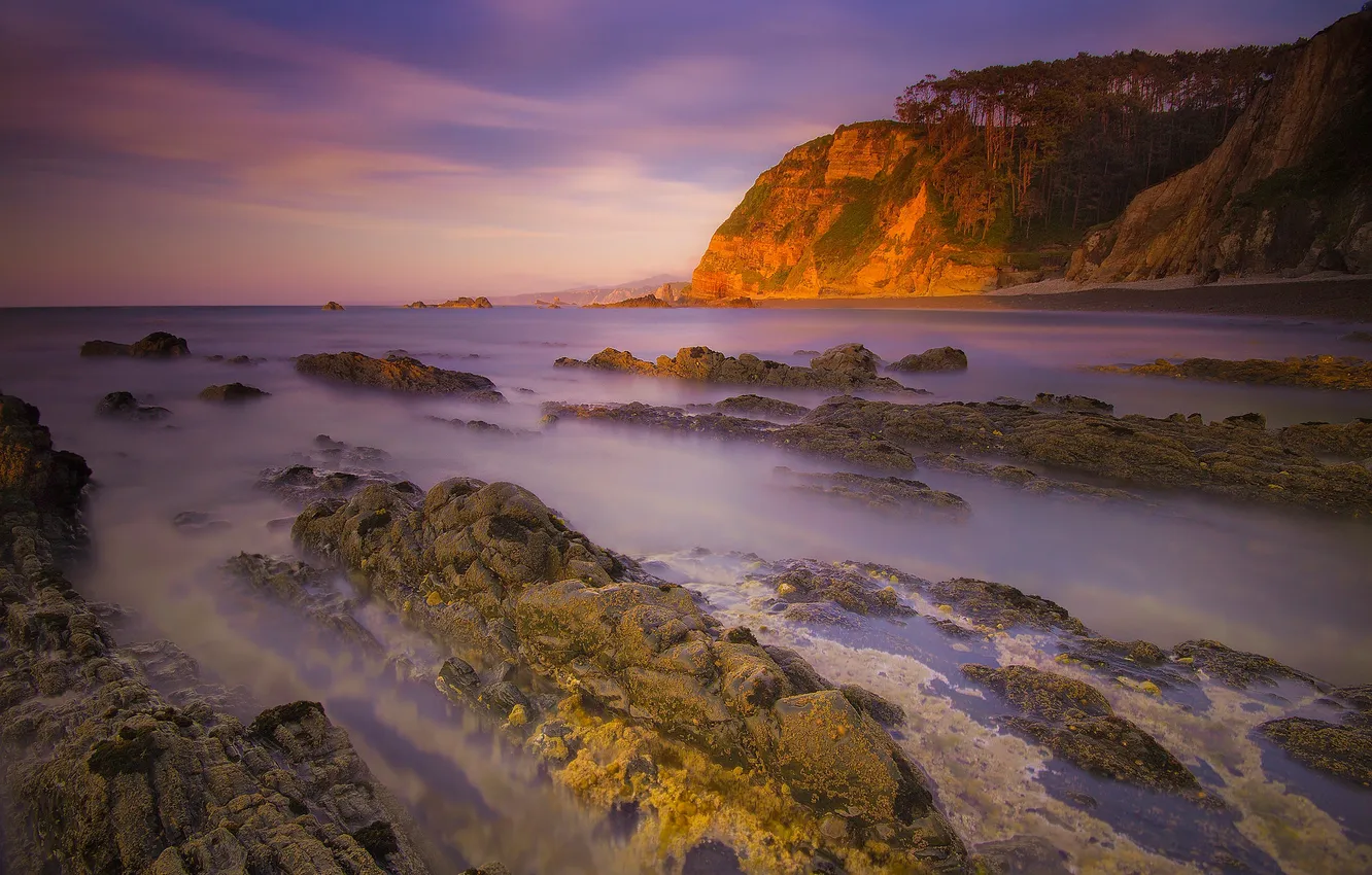 Photo wallpaper sea, the sky, clouds, trees, mountains, stones, rocks