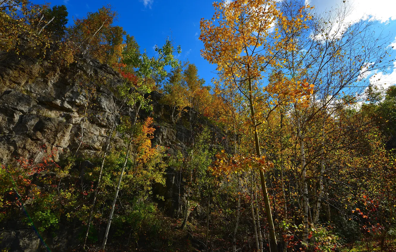 Photo wallpaper autumn, the sky, clouds, trees, rocks