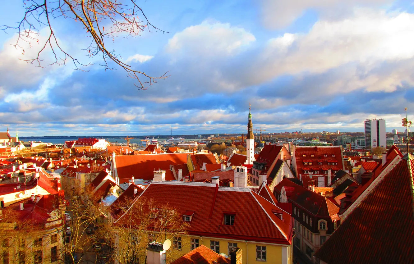 Photo wallpaper roof, Estonia, Tallinn, roofs, Tallinn, Vyshgorod