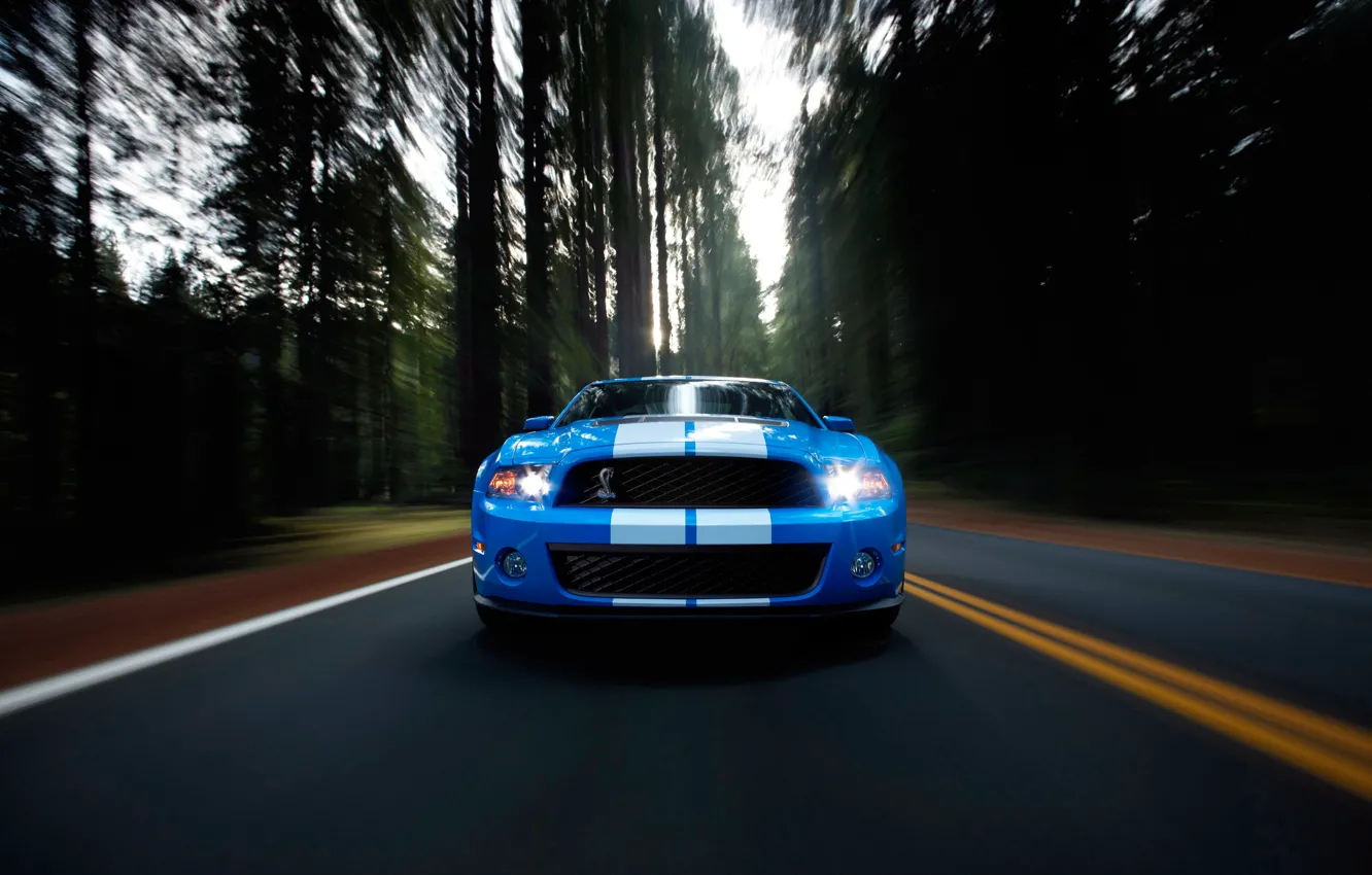 Photo wallpaper road, auto, forest, movement, Wallpaper, speed, track, Mustang