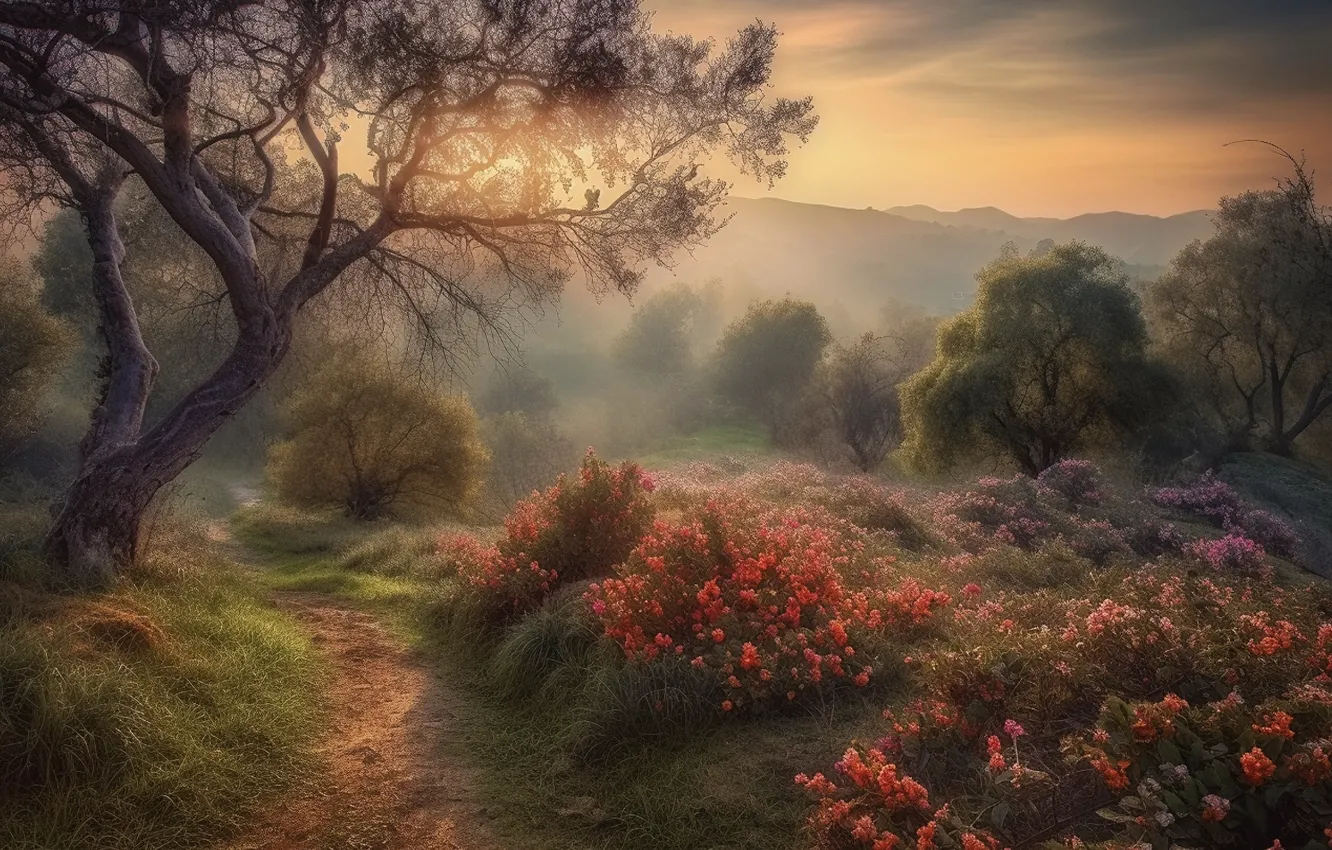 Photo wallpaper forest, flowers, fog, glade, treatment, AI art, neural network