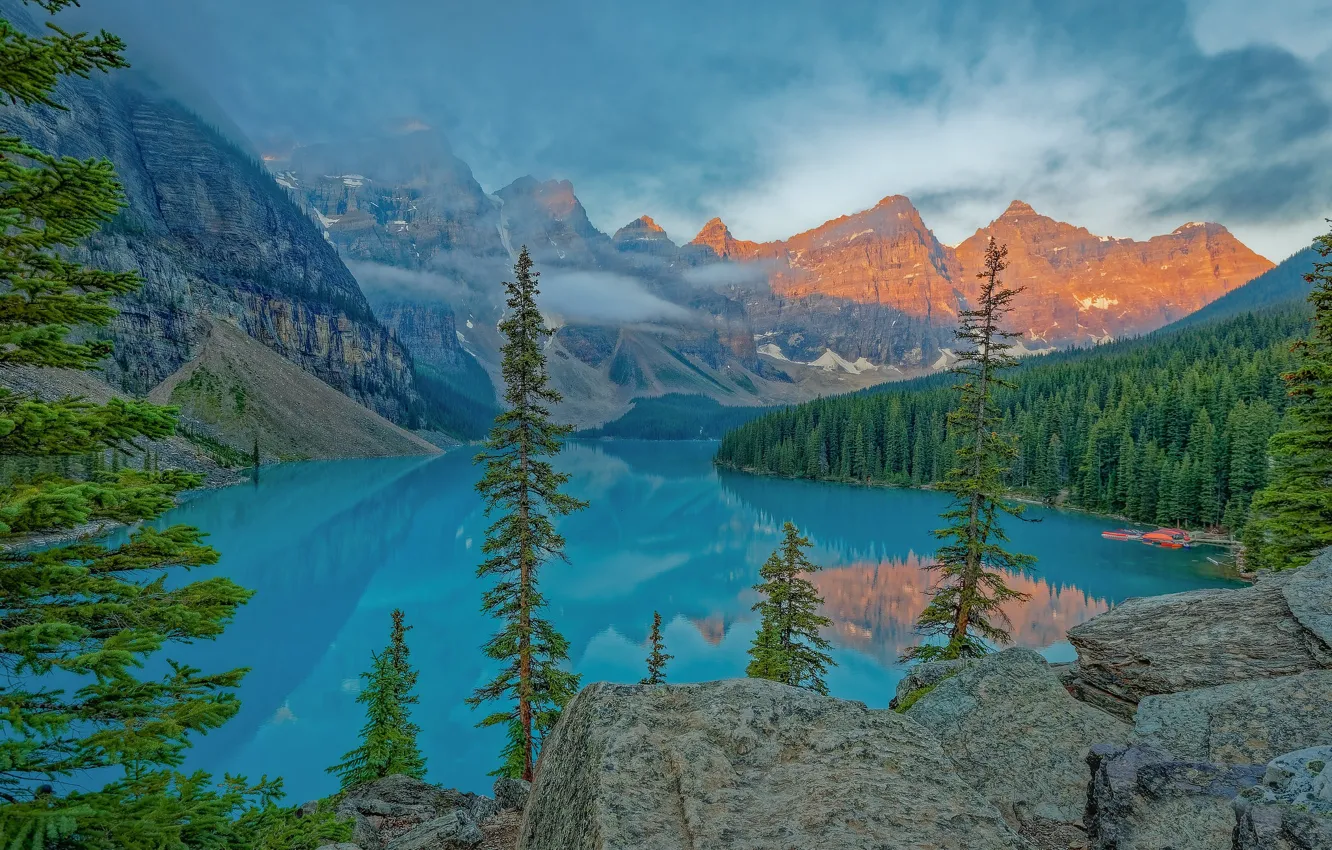 Photo wallpaper forest, trees, mountains, lake, morning, Canada, Albert, Banff National Park