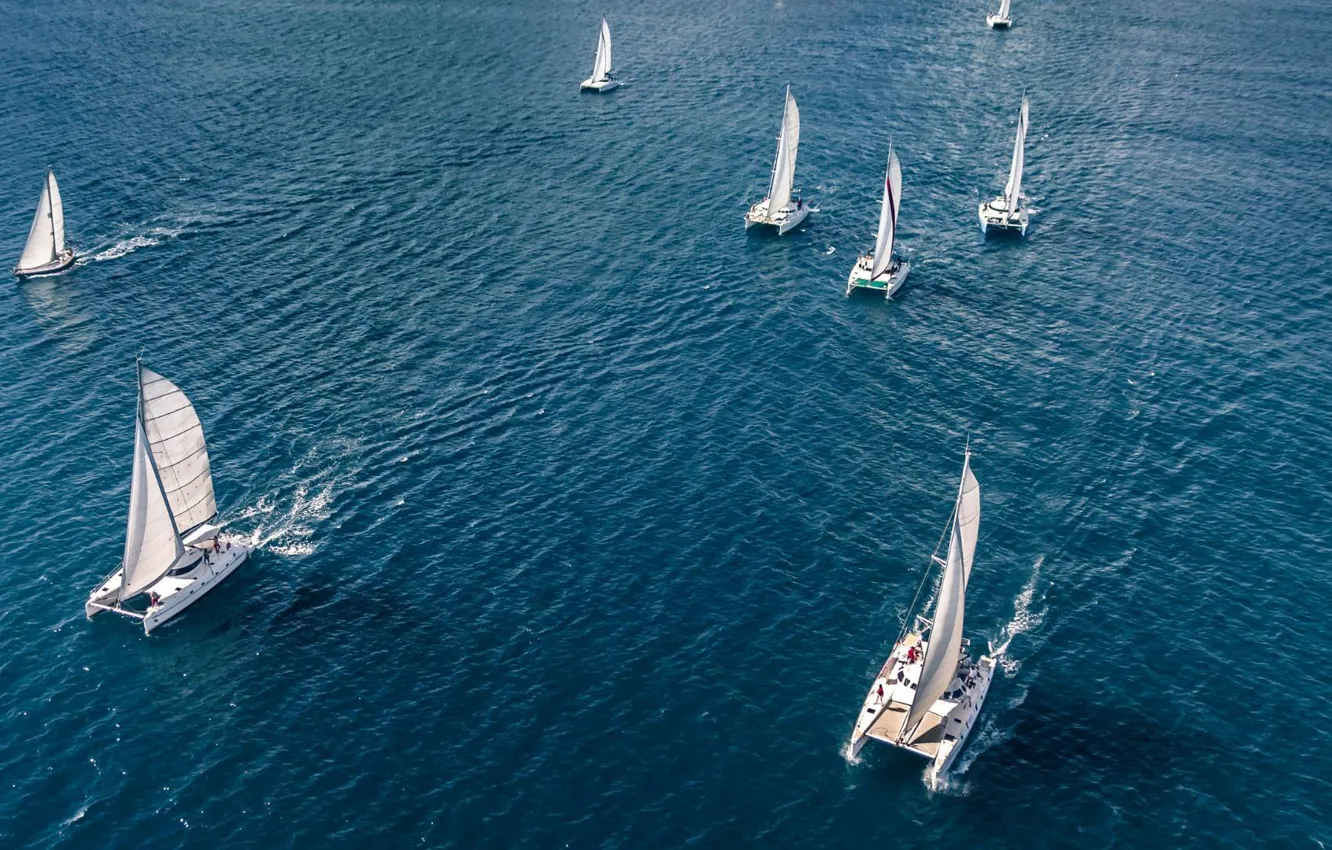 Photo wallpaper sea, sport, top, regatta, Panash, sailing catamarans, Panache, sailing catamarans